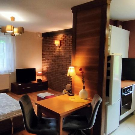 Lesny Apartament Белосток Экстерьер фото